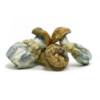 Psilocybin Penis Envy - Vegan Capsules, All Natural 250mg